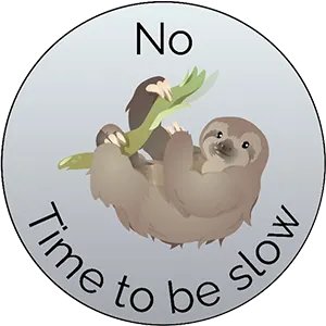 No Time to be slow